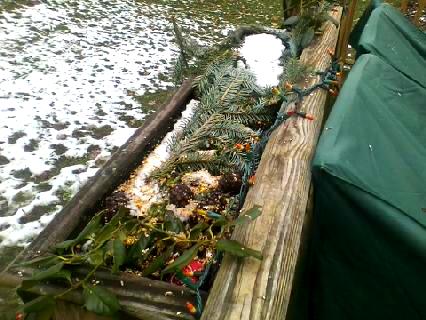 downsized_0106141036