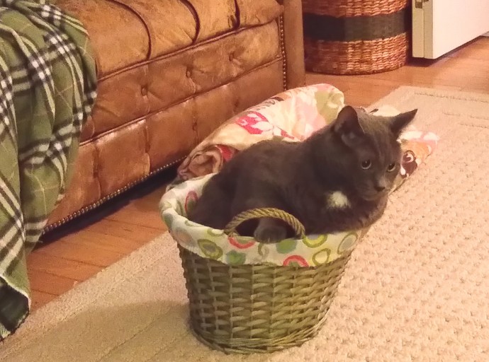 20140902_192542 - Copy