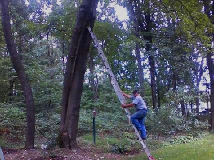 downsized_0908141432