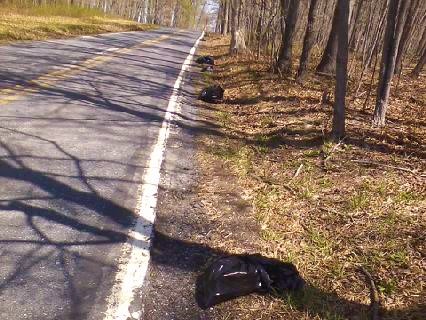 downsized_0418151257 (2)