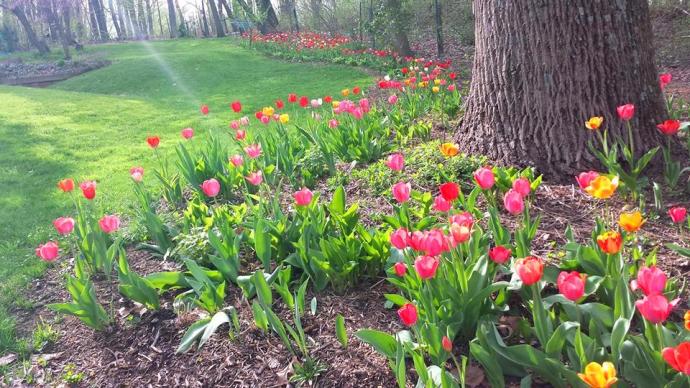 11038921_10205731695029007_8988635353330524305_n