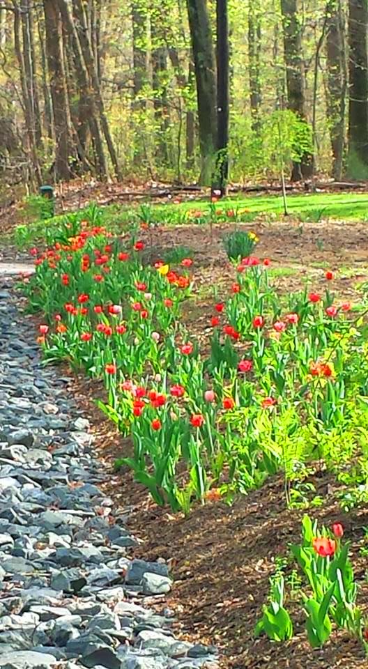 11163244_10205731711229412_9098744378032715751_n