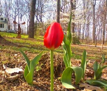 downsized_0325161526